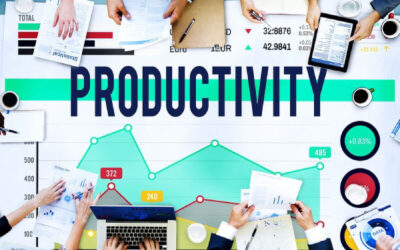 Employee Productivity is about Discretionary Effort