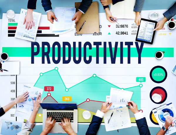 Employee Productivity is about Discretionary Effort